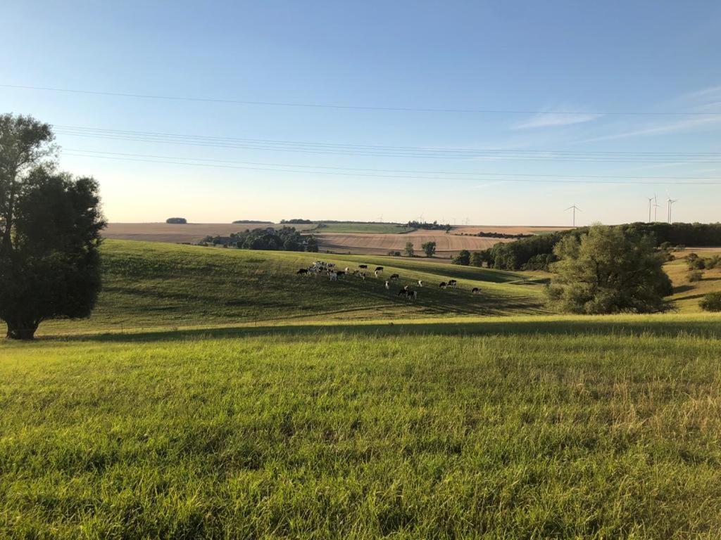 An Der Stadtmauer Buergel Burgel  エクステリア 写真